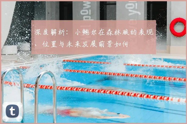 深度解析:小鲍尔在森林狼的表现、位置与未来发展前景如何