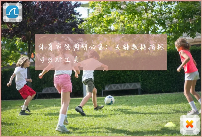 体育市场调研必备：关键数据指标与分析工具