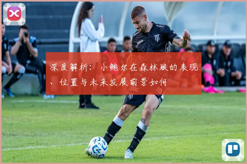 深度解析:小鲍尔在森林狼的表现、位置与未来发展前景如何