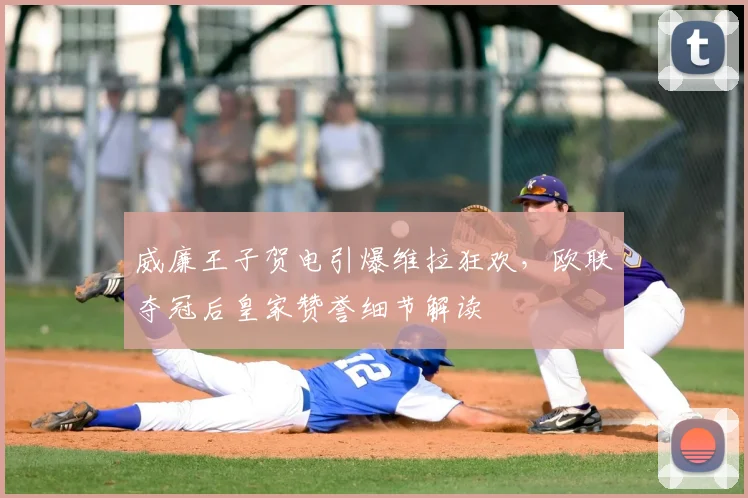 威廉王子贺电引爆维拉狂欢，欧联夺冠后皇家赞誉细节解读